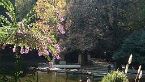 Grande Hotel Bom Jesus Braga