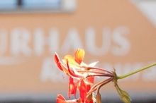 Kurhaus Klosters
