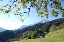Alpengasthof Rapoldsberg Pension Mühlbach am Hochkönig