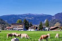 Jungfrau Hotel Wilderswil