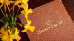 Hotel Llanerch Vineyard - Pontypridd, Rhondda Cynon Taff
