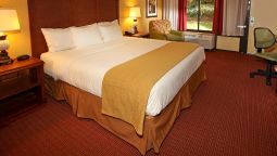 Rosen Inn at Pointe Orlando Rosen Inn at Pointe Orlando - Orlando (Florida)