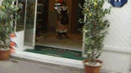 Amaryllis Hotel - Niza