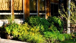 Hotel Rusty Parrot Lodge and Spa - Jackson (Alabama)
