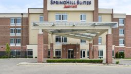 Hotel SpringHill Suites Detroit Metro Airport Romulus - Romulus (Michigan)
