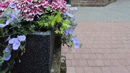 Hotel Villadelux Carmeli - Roermond