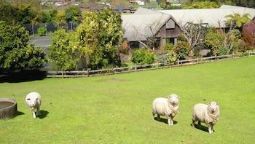 Hotel A Panoramic Country Homestay - Kaharoa