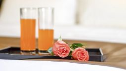 Hotel Elan Guangzhou Baiyun Airport(Domestic Only) - Guangzhou