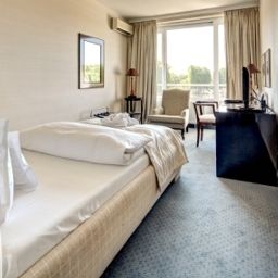 Business-Zimmer Park Hotel
