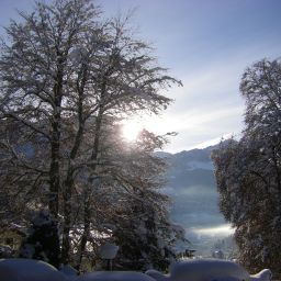 View Kronprinz Treff Alpenhotel Fotos