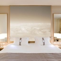  Best Western Plus Paris Orly Airport
