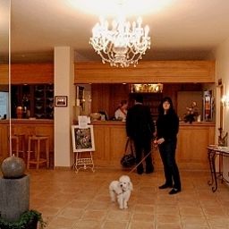 Recepción Lessing