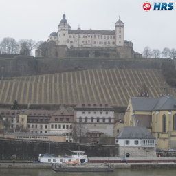 View Walfisch