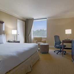 Room Hilton North Raleigh Fotos