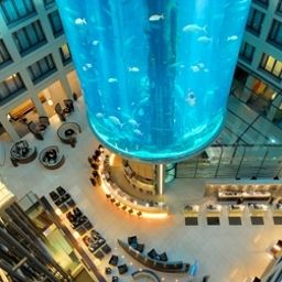  Radisson BLU