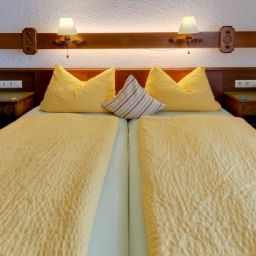 Room with terrace Alp Inn