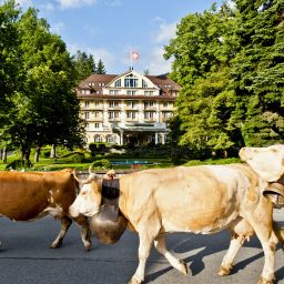 Vista esterna Grand Hotel Bellevue