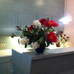 Recepción Steen´s