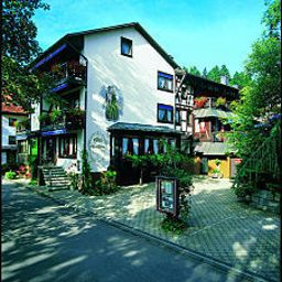 Dorer Schönwald 