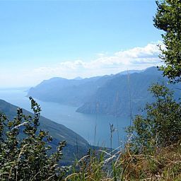 Panorama Martinelli