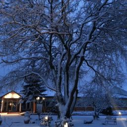 Außenansicht BinzHotel Landhaus Waechter