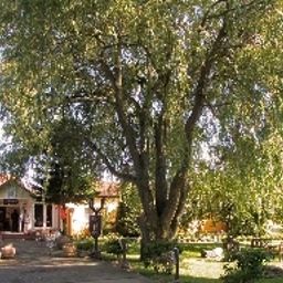  BinzHotel Landhaus Waechter