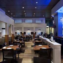 Bar Hilton Queen of Sheba