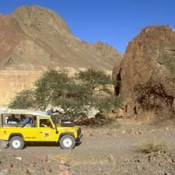  Hilton Queen of Sheba