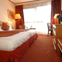  Holiday Inn NICE