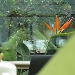 Sala colazione Comfor Hotel und Appartment
