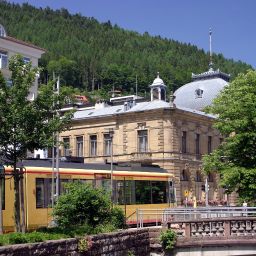 Environnement Weingärtner Fotos