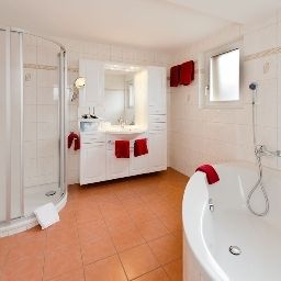 Salle de bains Matterhorn Valley Hotel Alpina