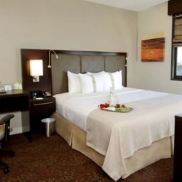 Chambre Holiday Inn NEW YORK-SOHO
