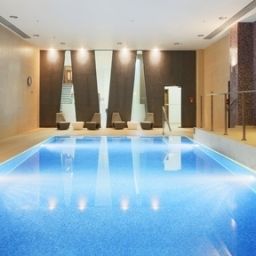 Pool Holiday Inn LONDON-KINGS CROSS BLOOMSBURY