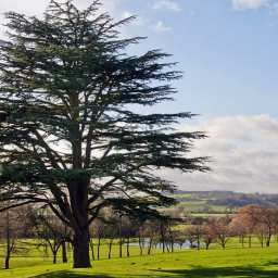 Hilton Puckrup Hall Tewkesbury