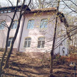 Goldgrund Meissen