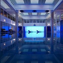 Piscina Dolphin House