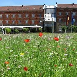 nestor Ludwigsburg Ludwigsburg