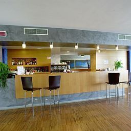 Bar Sea Lion