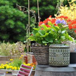 Terrasse Alpenblick