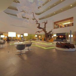 Hall Istanbul Radisson Blu Conference & Airport Hotel