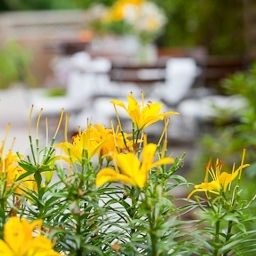 Jardin U-NO 1