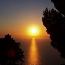 El Encinar Valldemossa