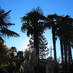 Ogród Albergo Gardenia