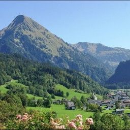  Krone