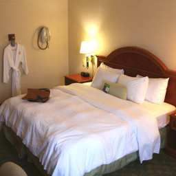Room Hampton Inn San Francisco Airport
