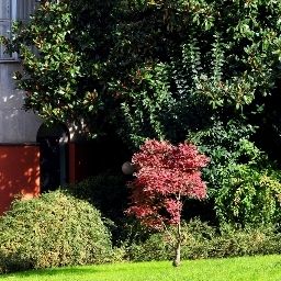 Garten Tiziano