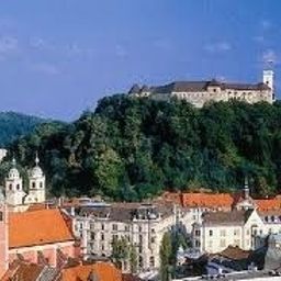 Entorno Slon Best Western Premier