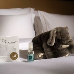  Slon Best Western Premier