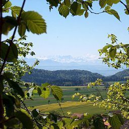 View De la Croisee Fotos